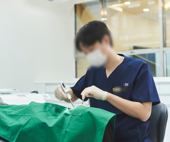 화,목 야간진료